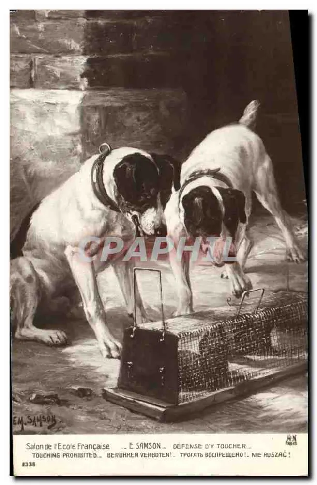 Dois Boxers diante de uma gaiola de coelhos — Salão da Escola Francesa — Editor E. Samson, n° 8338 - Frente