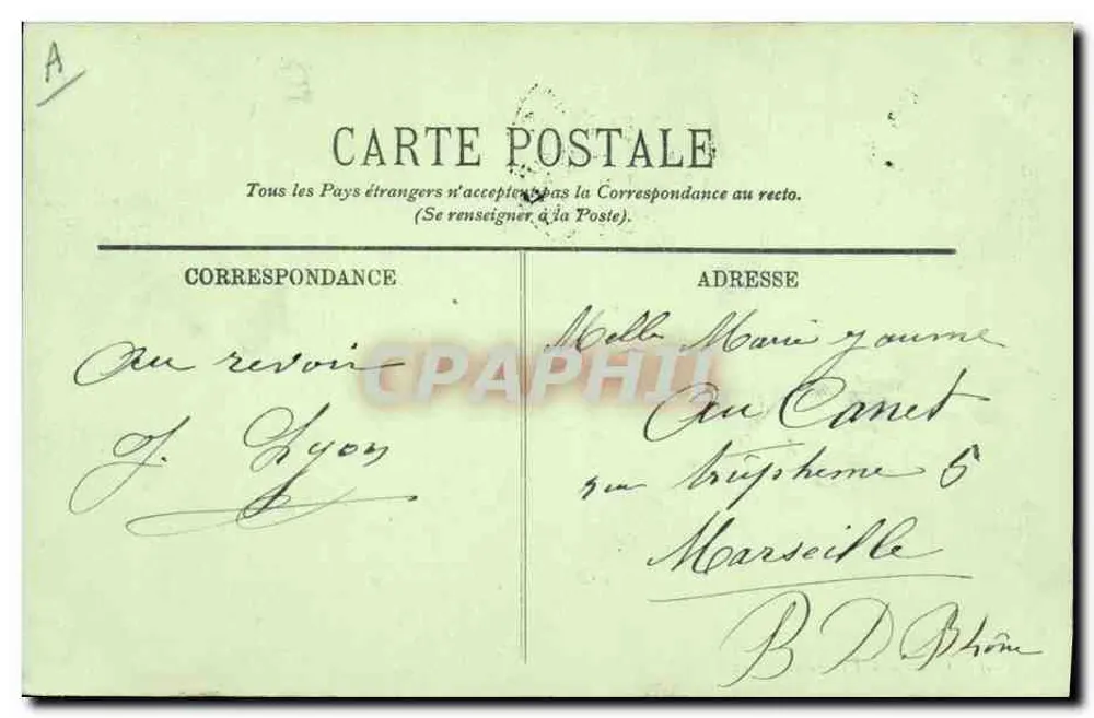Cão dos Pirineus — LL. — n° 207 - Verso