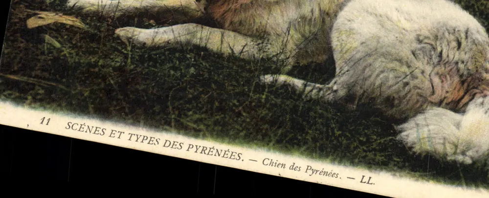 Cão das Pirineus — Cenas e Tipos das Pirineus — LL. - Frente