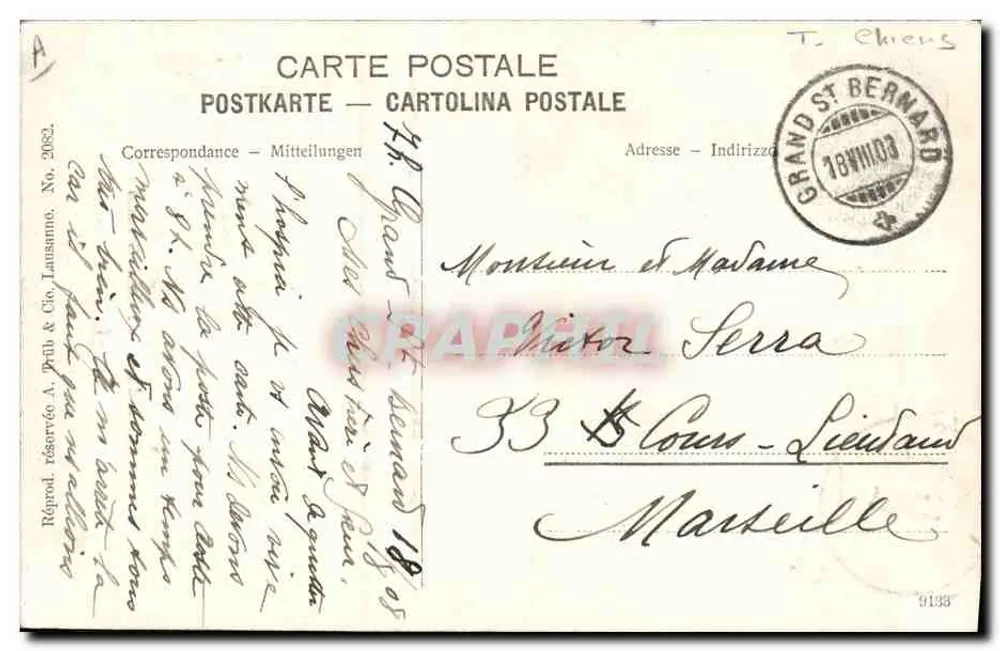 Cão do Grande Saint-Bernard — editor não visível — número de série não visível - Verso