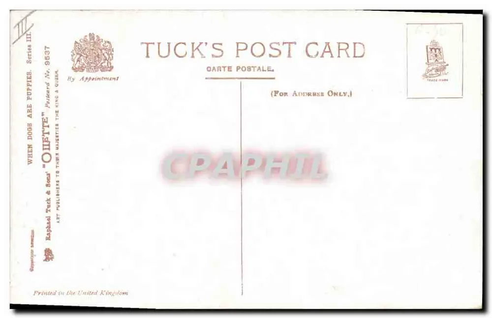 Cachorros e patos — cena de jardim — Tuck & Sons, série III n° 9537 - Verso