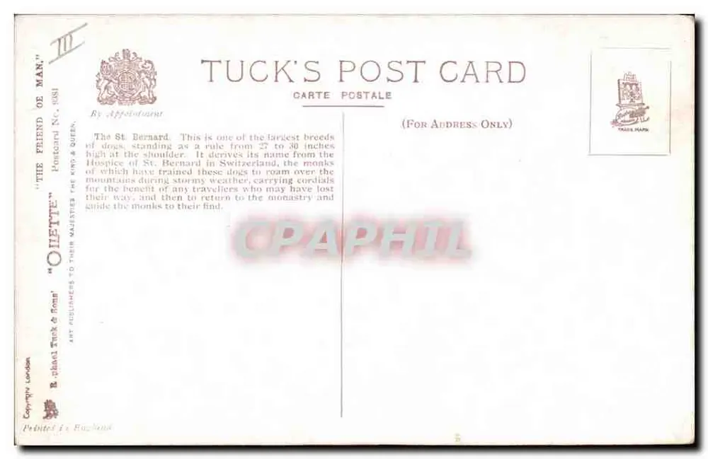Dois cães de Saint-Bernard — O retorno ao mosteiro — Tuck's Post Card N° 113 - Verso