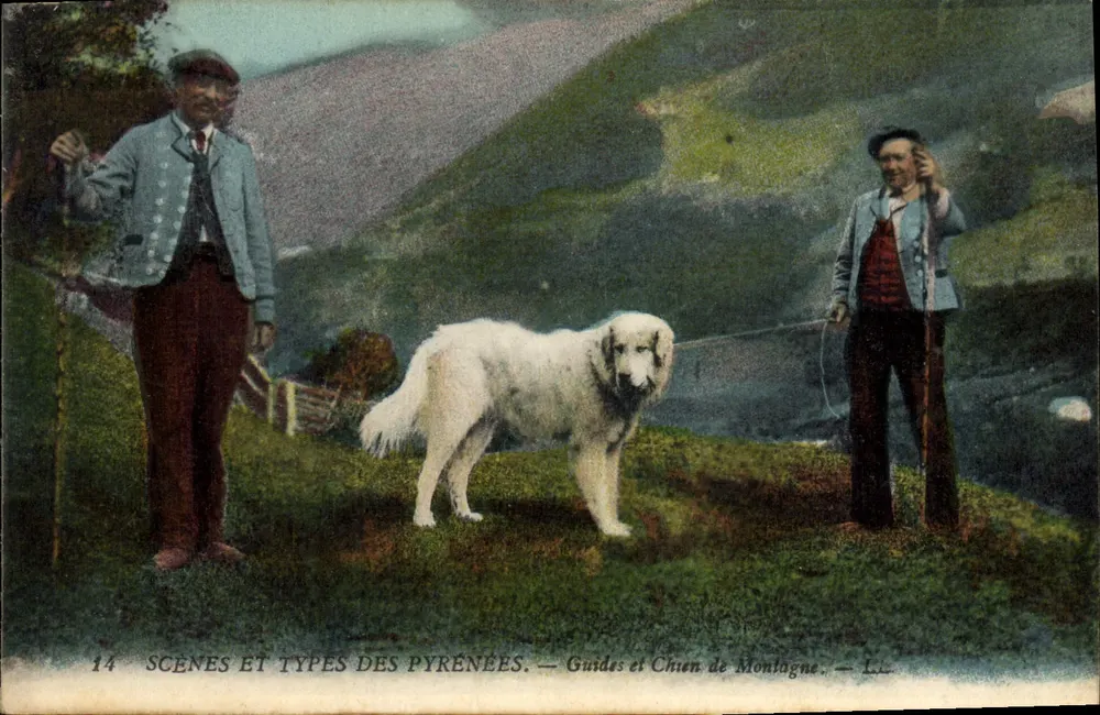 Guides et Chien de Montagne — Scènes et Types des Pyrénées — Lévy Fils & Cie Paris n°14 - Vorderseite