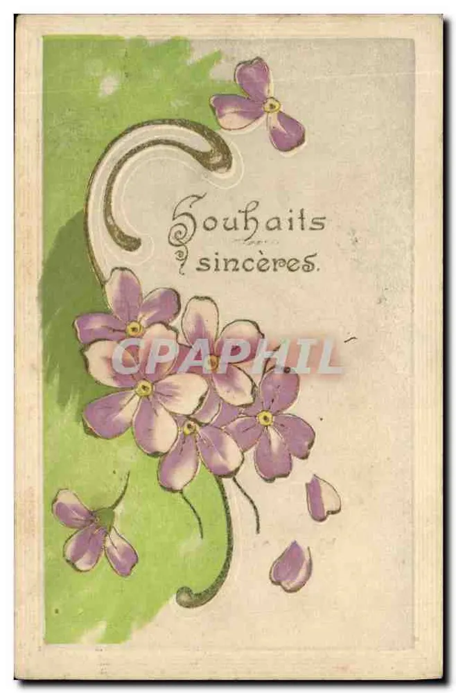 Flores violetas — Desejos sinceros — Carta postal - Frente