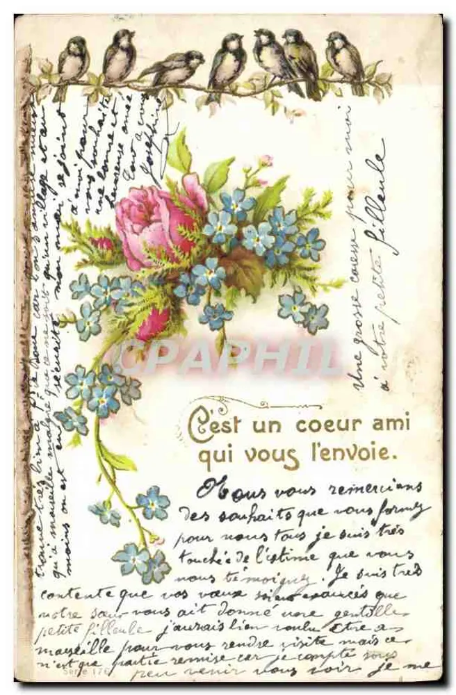 Aves e flores — carta postal decorativa — editor não identificado, n° de série 174 - Frente