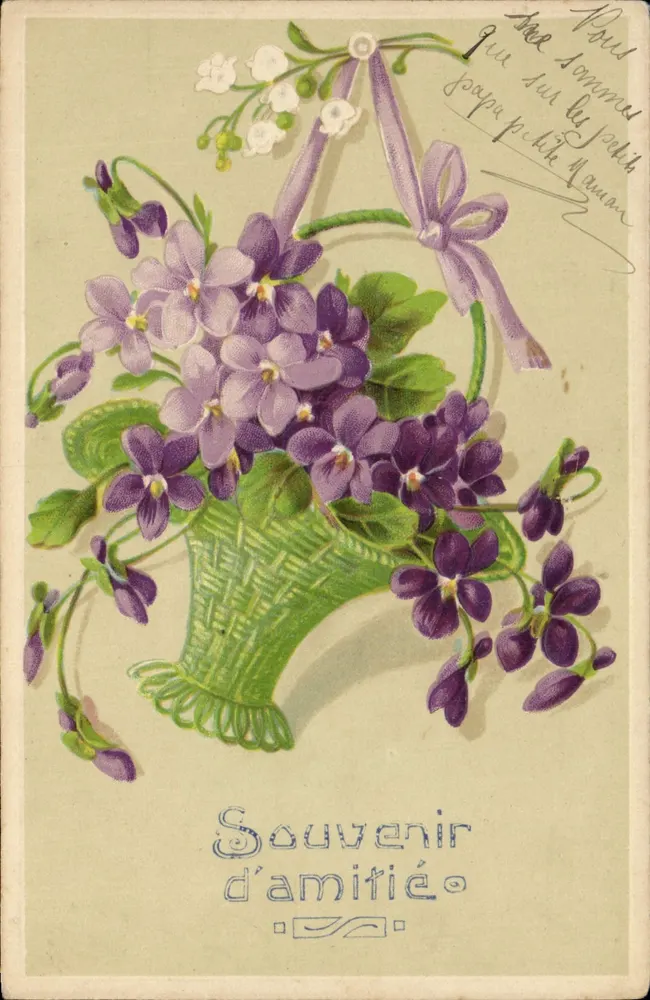 Violetas em um cesto — Lembrança de amizade — editor não visível - Frente