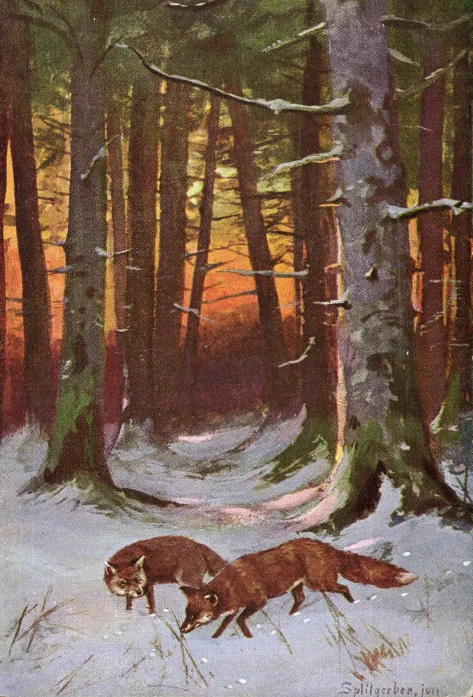 Dois esquilos na floresta nevada — Splittergerben, junho — alM Waldes, série I - Frente