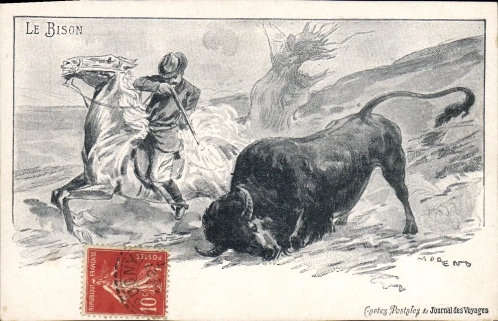 Bizon — Scena polowa — Karty pocztowe z Czasopisma Podróży, nr 3313 - Awers