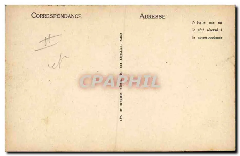 Bergwelpen vom Chenil-Club d'Argelès — LL - Rückseite