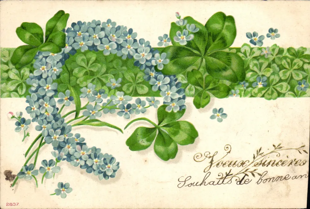 Frühlingsblumen — Klee und Vergissmeinnicht — unbekannter Verlag, Nr. 2837 - Vorderseite