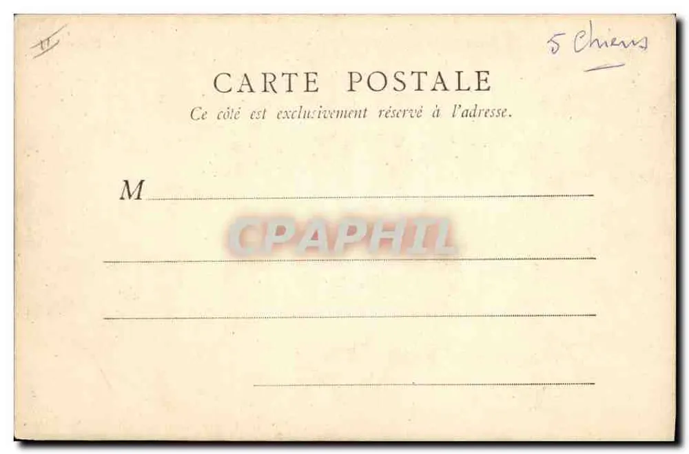 Cão de caça — cena noturna — F. Pigmanski, editor - Verso