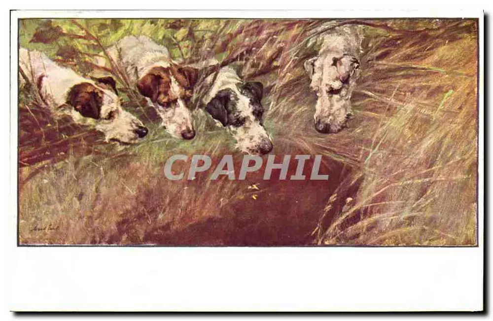 Quatro cães de caça na grama — ilustração — M. M. Vienne, n° 375 - Frente