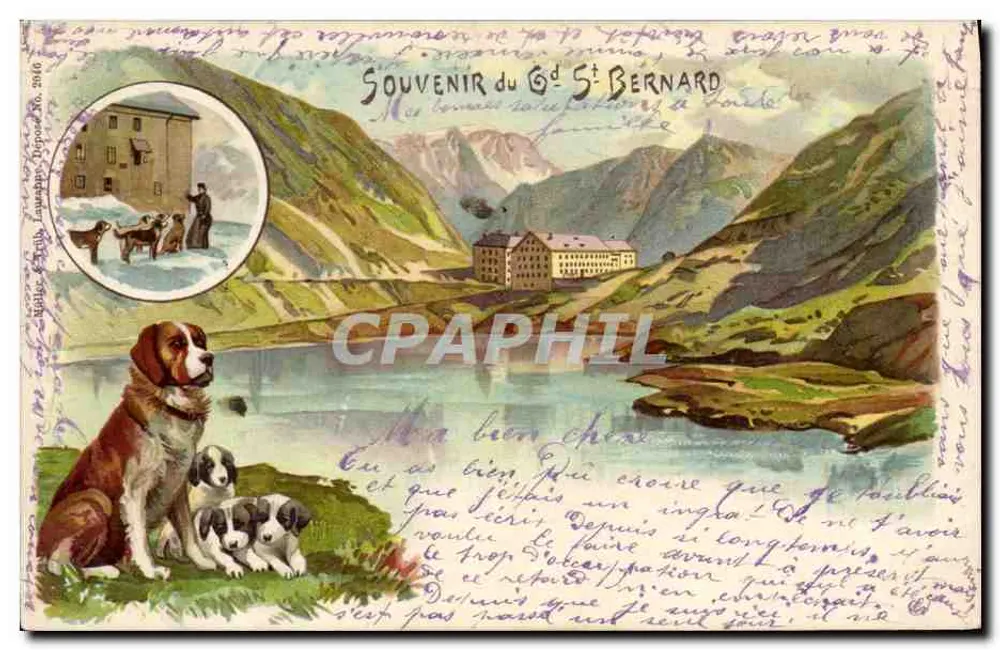 SOUVENIR do Gd St BERNARD — editor: Lausanne, n° 2160 - Frente