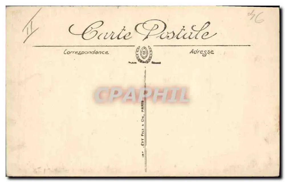 Cão dos Pirineus — LL — n°11 - Verso