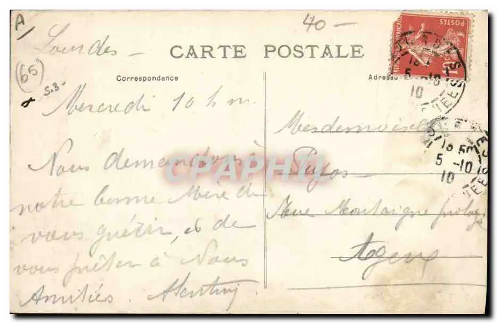 Cão das Pirineus — 2027 — MTPL - Verso