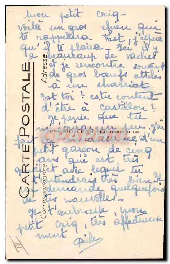 Cão dos Pirineus — Scènes et Types des Pyrénées — LL - Verso