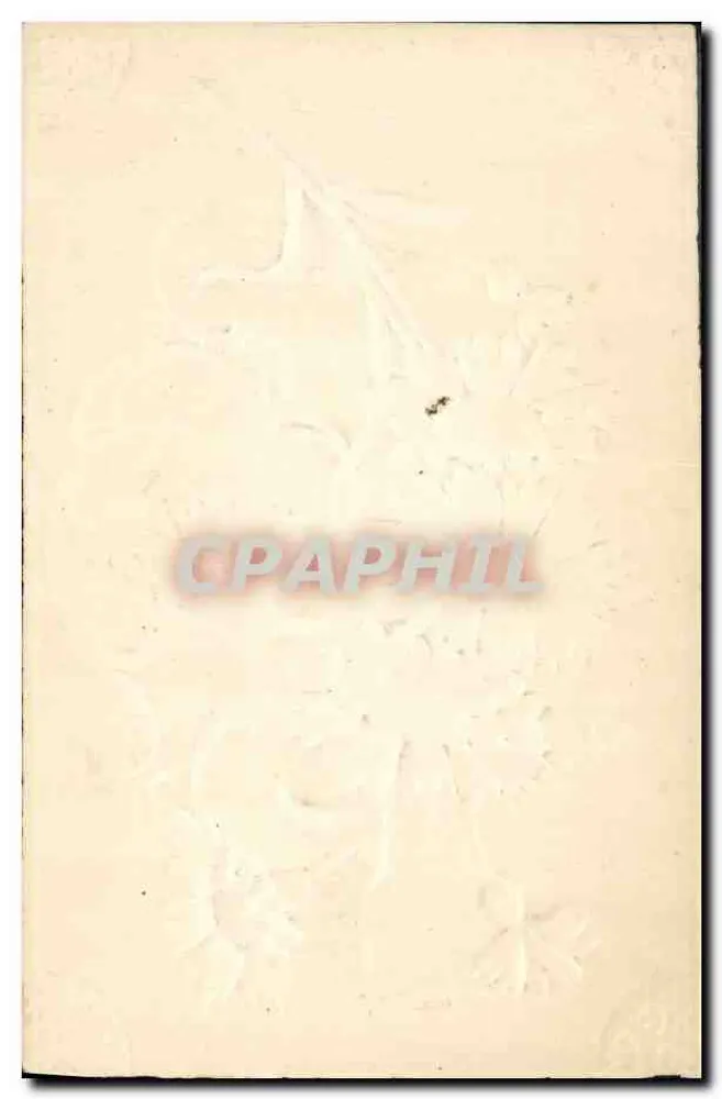 Flor de primavera — Boa Ano — Carta postal decorativa - Verso