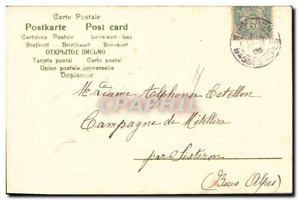 Arranjo de flores — Boa festa para todos — editor anônimo, n° 18817 - Verso