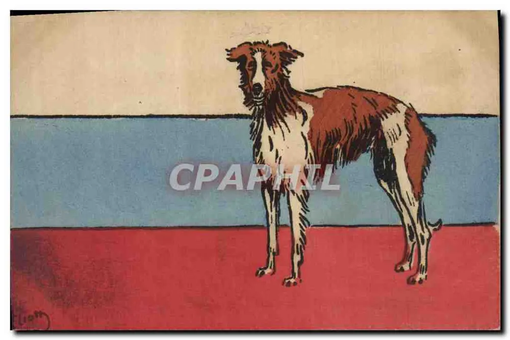 Cão da raça borzoi — ilustração estilizada — assinado 'Lion' - Frente