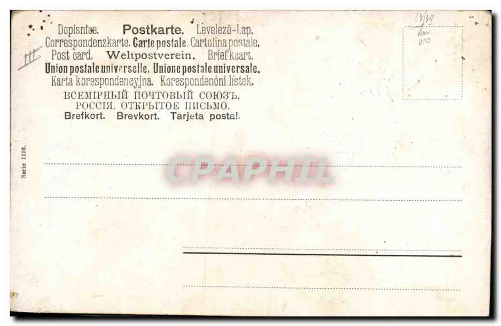 Pies myśliwski — portret — Muller-Jer, München, 1903 - Rewers