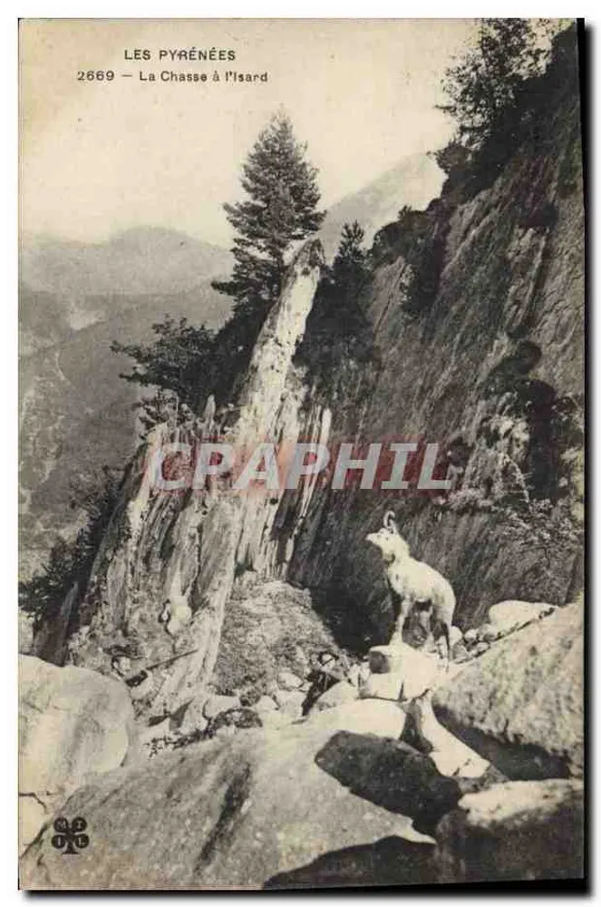 Os Pirineus — Caça ao Isard — n°2669 - Frente