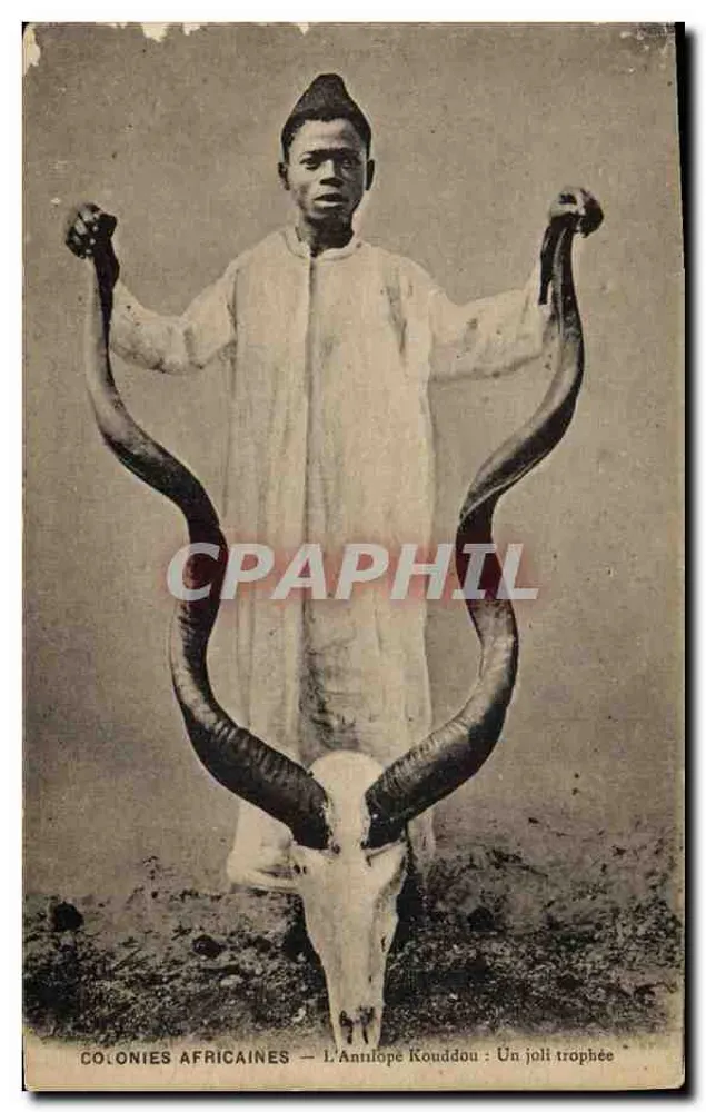 Der Annlope Kouddou: Ein schönes Trophäe — Kolonien Afrikas - Vorderseite