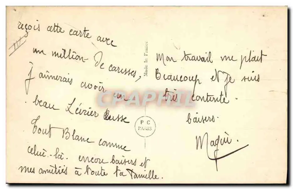 Cão da raça borzoi — retrato em preto e branco — editor P.C. Paris, n° 3253 - Verso