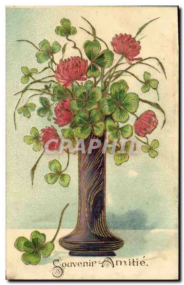 Buquê de trevo e flores rosas — Lembrança Amizade — editor não visível - Frente