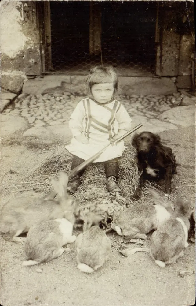 Criança com cães e coelhos — cena de caça — editor não identificado - Frente