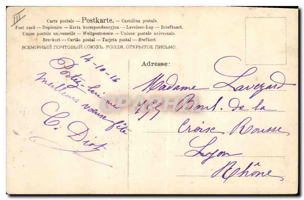 Cão Pomerânia — ilustração — editor não visível - Verso