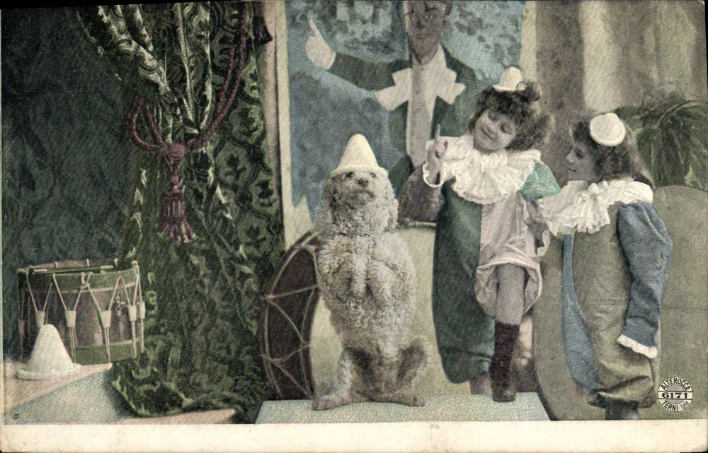 Cirqueoptocht — Hond in clowneretje — Uitgever ATEROCO, n° 8171 - Voorkant