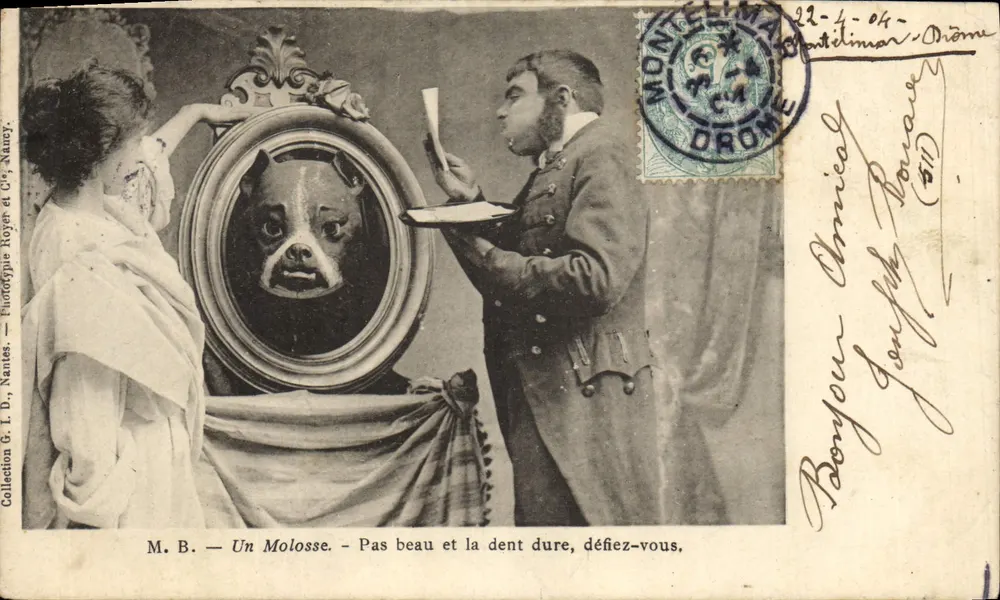 Ein Mastiff — Nicht hübsch und die Zähne sind hart, vorsichtig sein. — Phototypie L.D. Nantes - Vorderseite