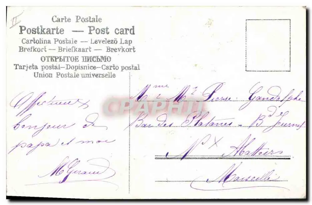 Arranjo de violetas e flores de laranjeira — sinos dourados — editor não visível - Verso