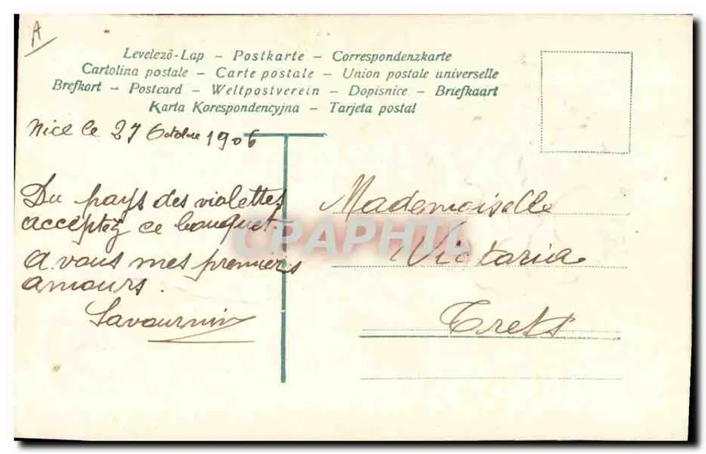 Büschel Violetter — Zärtliche Erinnerung — Verlag nicht sichtbar - Rückseite