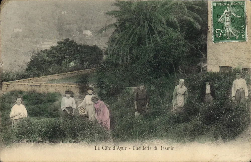 La Côte d'Azur — Cueillette du Jasmin — Édition Artistique J. Benoît fils Grasse - Frente