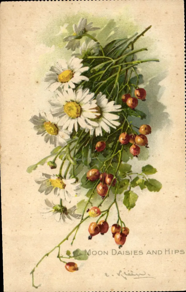 Margaridas e hipos da Lua — série 'Time of Flowers' — Tuck & Sons - Frente