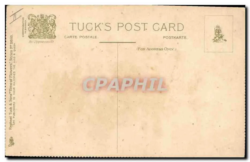 Margaridas e hipos da Lua — série 'Time of Flowers' — Tuck & Sons - Verso
