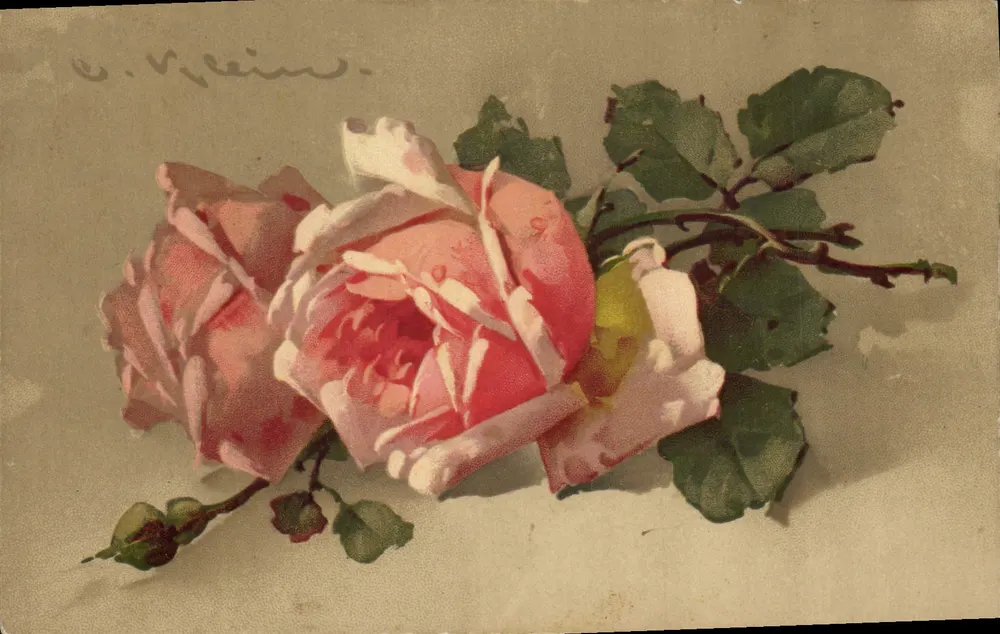 Dos rosas — dibujo al agua de la serie — editor MB & B, serie 12 - Anverso