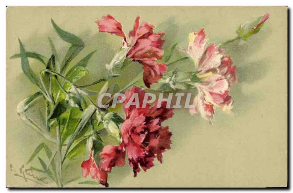 Fleurs de pâquerette — bouquet peint à l'aquarelle — éditeur Levelezö Lap. n° 3938 - Frente