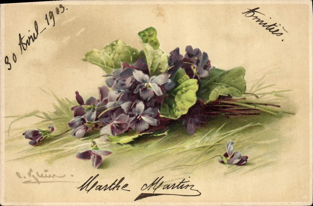 Violetas — buquê — editor A. Klein, n° não visível - Frente