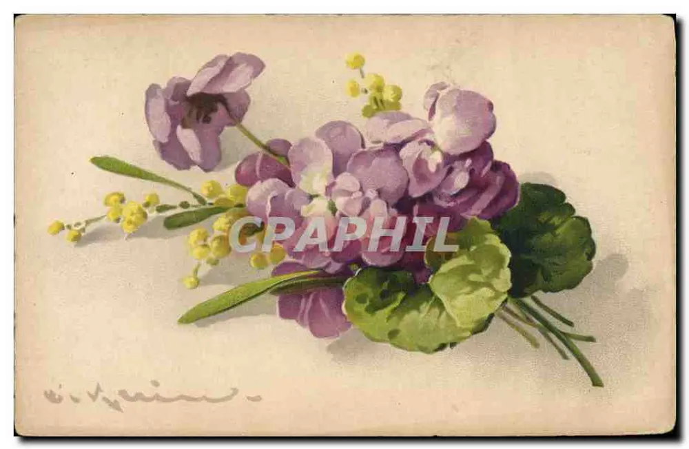Bouquet di fiori — mimose e violette — editore Jounon, n° 170 - Recto