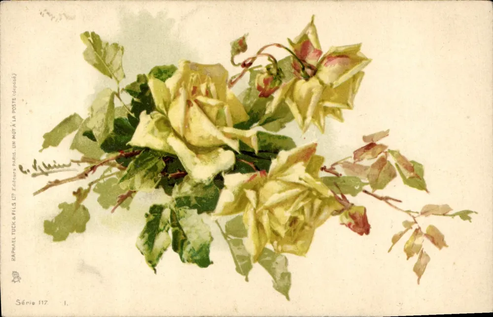 Arranjo de rosas amarelas — editor Raphael Tuck & Fils, série 117 - Frente