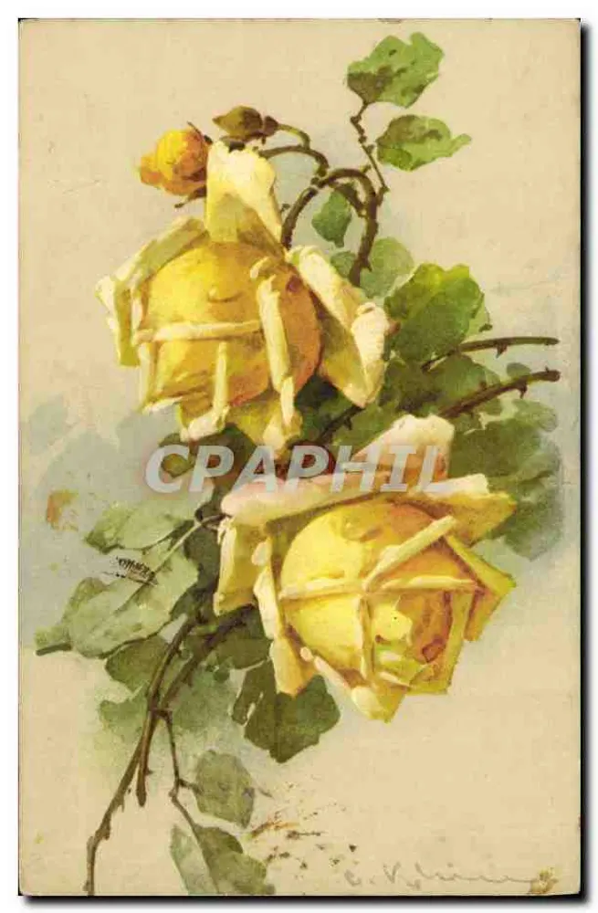Rosas amarelas — aquarela — E. Vahine, editada por STF, n° 1247 - Frente