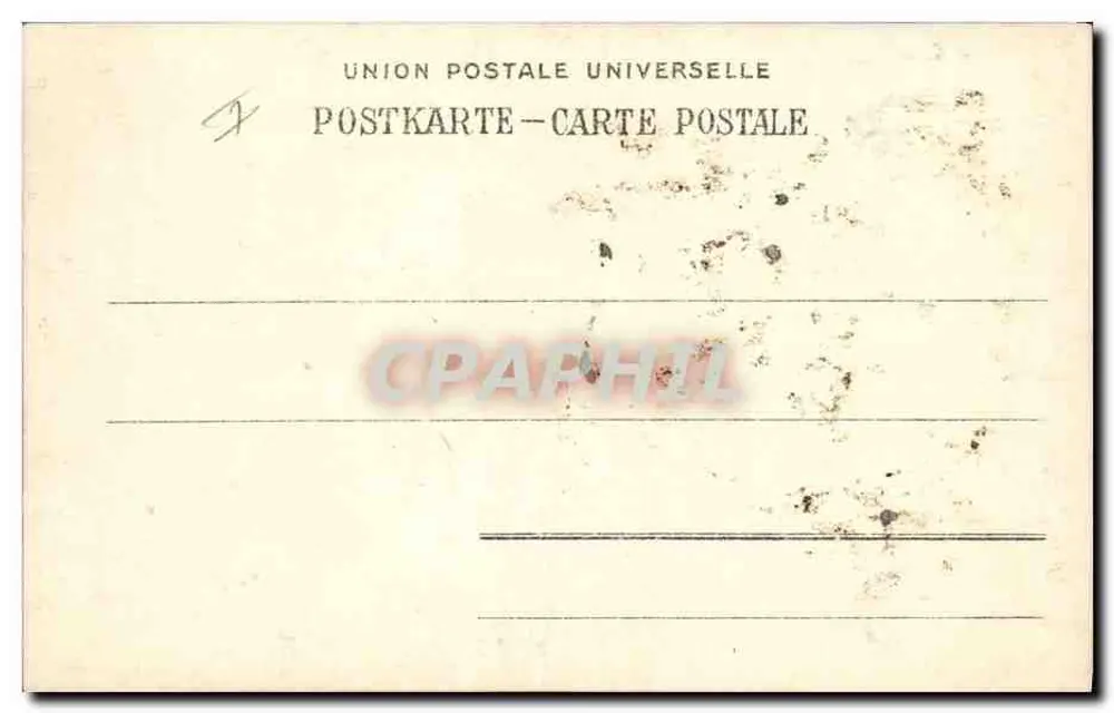 Pies siedzący w pasie — studio fotograficzne — Union Postale Universelle - Rewers