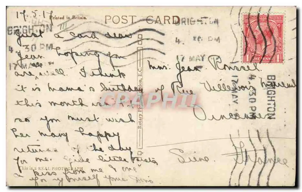 Cinco filhotes — Brighton — editor A.707 - Verso