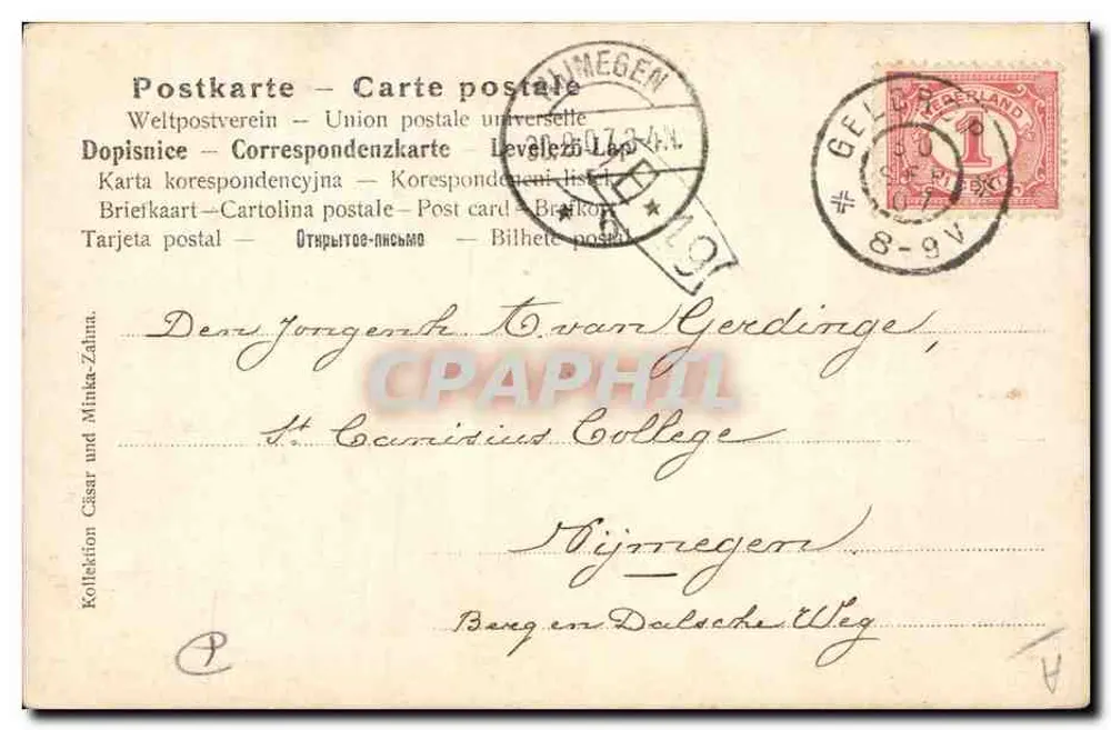 Deutsche Dogge (gestreift) — retrato de um cão com pelagem manchada — editor A.Z. 7140 - Verso