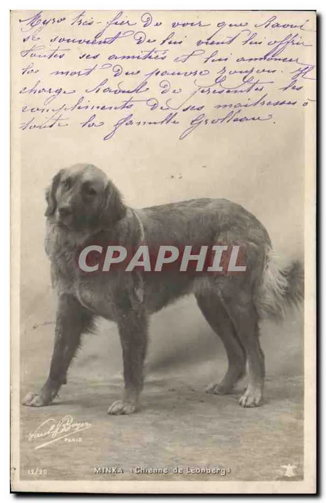 Leonberger hond — Minxa — uitgever Van de Boven, Parijs, n° 14/20 - Voorkant