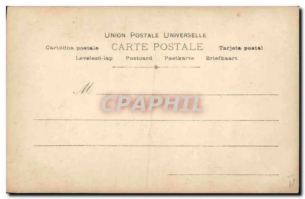 Tom (Cão Braque Saint Germain) — Fotografia de cão braque — Paul Boyer, Paris, n°12/7 - Verso