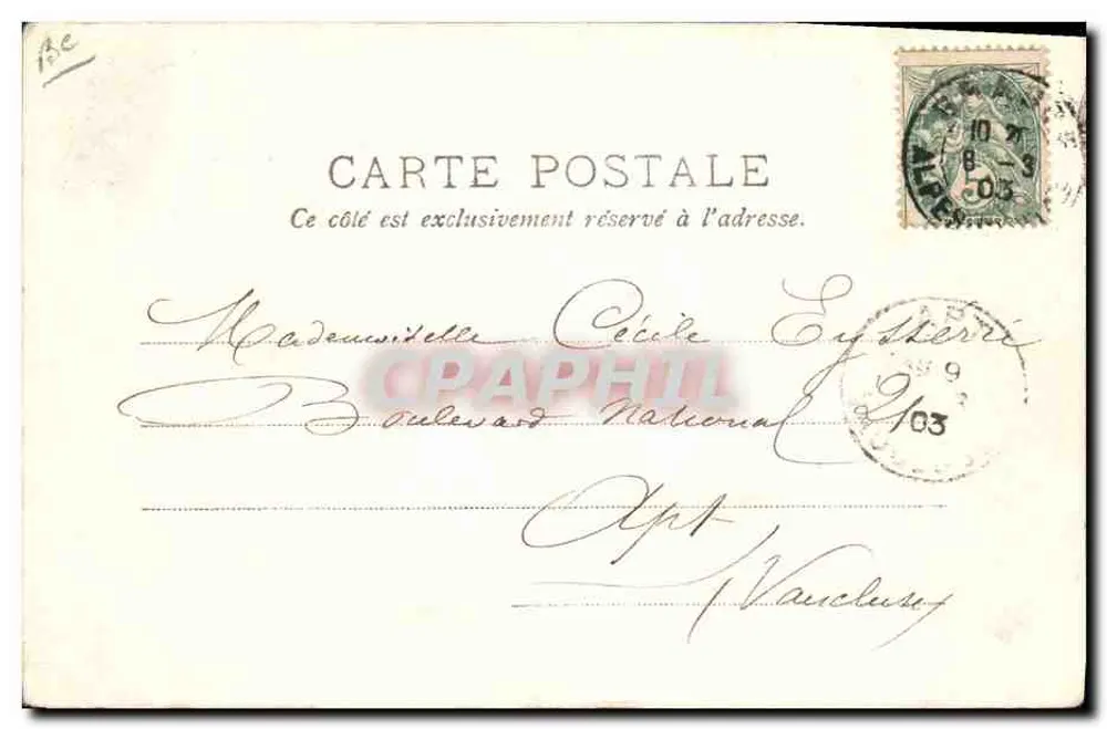 Cannes, Côte d'Azur — Cueillette des violettes — P. L. Maillan, édit., Cannes — n° 243 - Verso