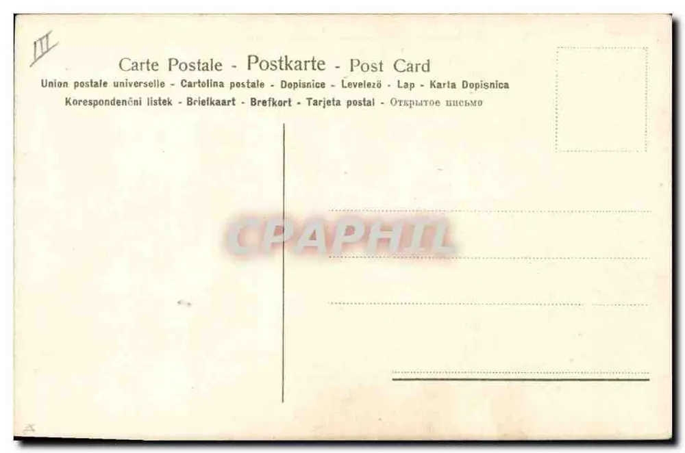 Iris — flor y botones — n° III - Reverso